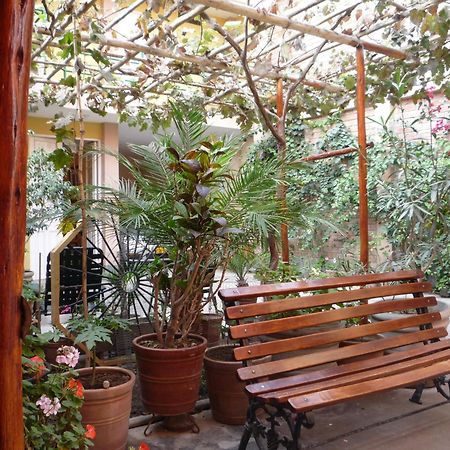 Hostal Tambo Colorado ピスコ エクステリア 写真