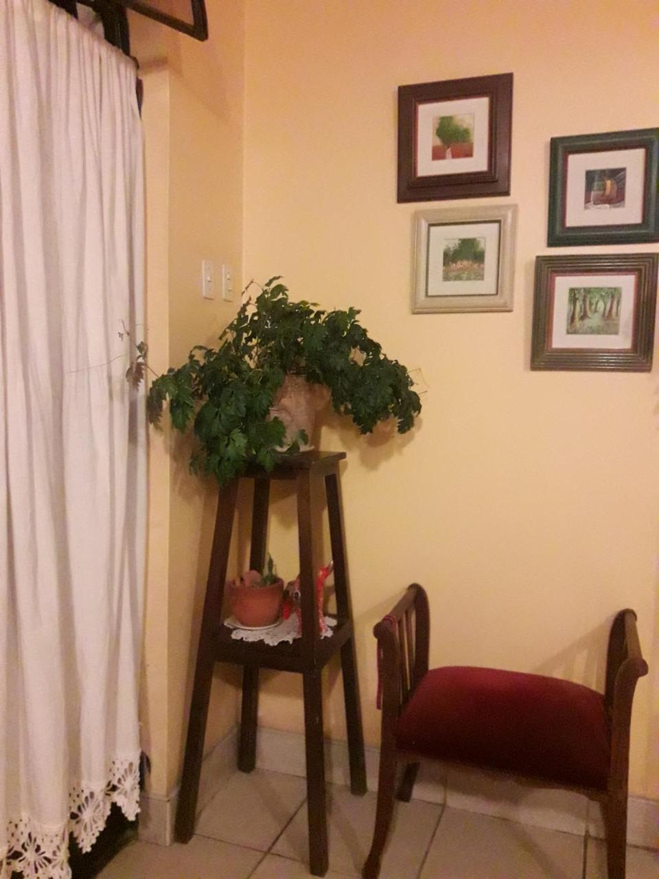 Hostal Tambo Colorado ピスコ エクステリア 写真